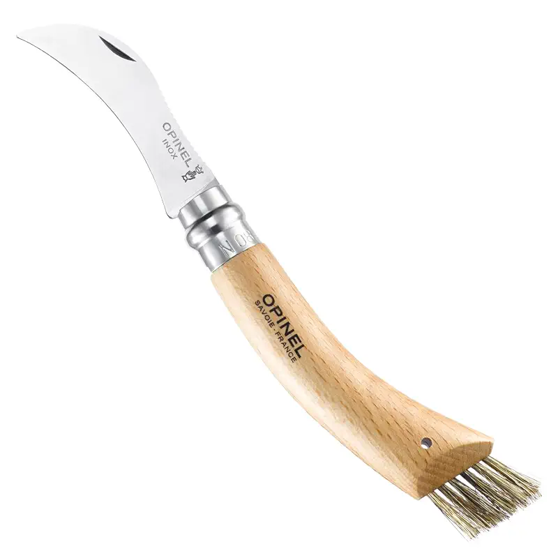 Best Mushroom Knife for Foraging and Harvesting