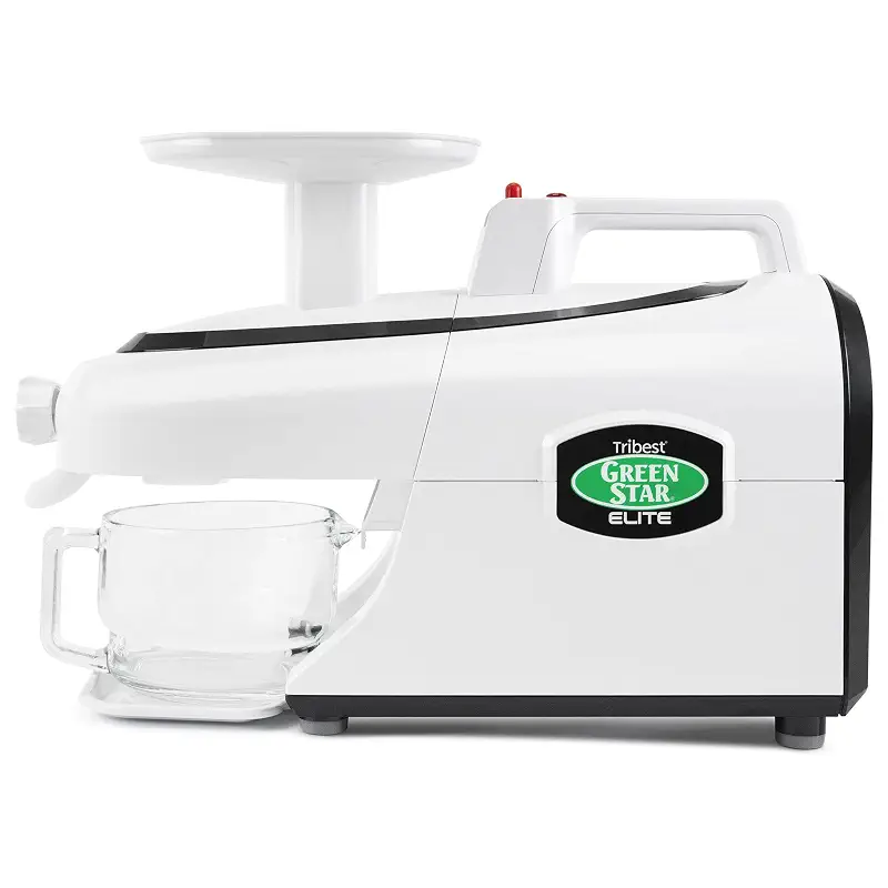 Best Twin Gear Juicer: Cold Press Masticating Models Compared