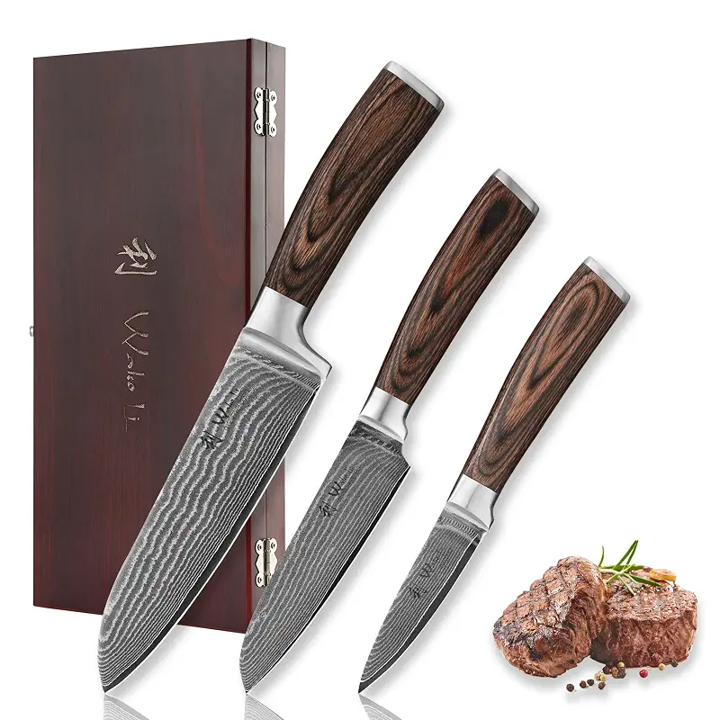 Wakoli EDIB 3-Piece Damascus Kitchen Knife Set in Wooden Gift Box | VG10 Core, 67-Layer Genuine Damascus Steel, 60 ± 2 HRC, Santoku, Utility and Paring Knife, Pakkawood Handles