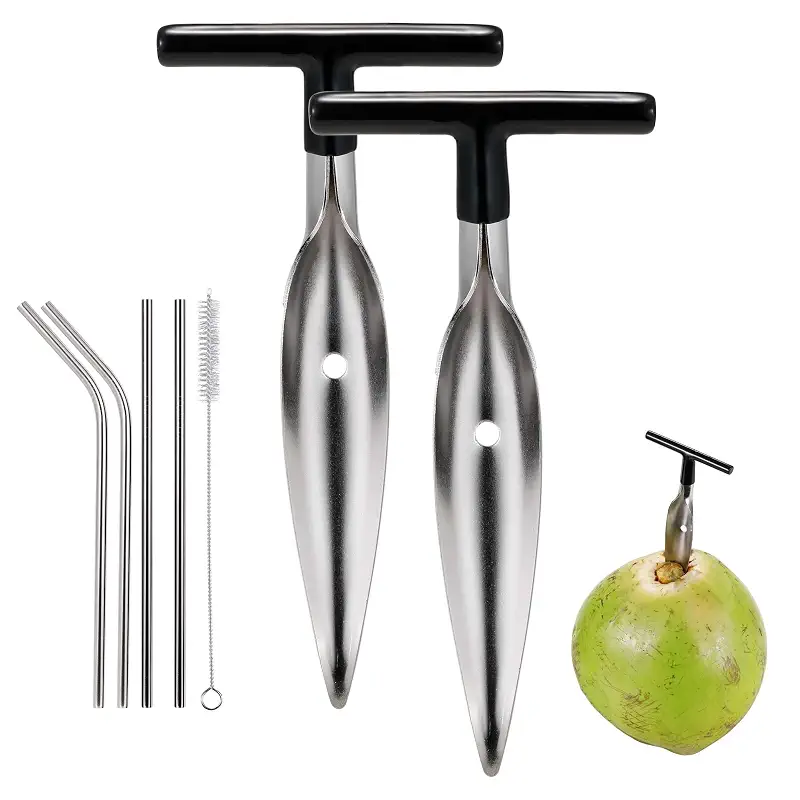 2 Pack Coconut Opener Tool Set with 4 Reusable Straws & Brush | Food Grade Stainless Steel Coco Nut Bottle Opener for Young Thai Green Fresh Coconut Water, Safe Coco Drill Punch Tool