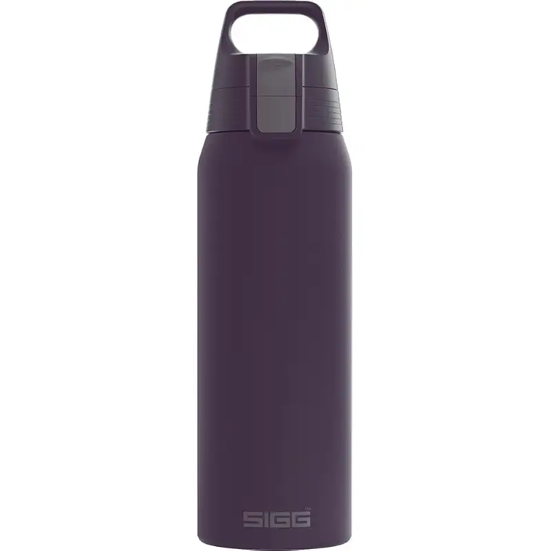 Best Bottle for Carbonated Drinks: Sealed & Insulated Options