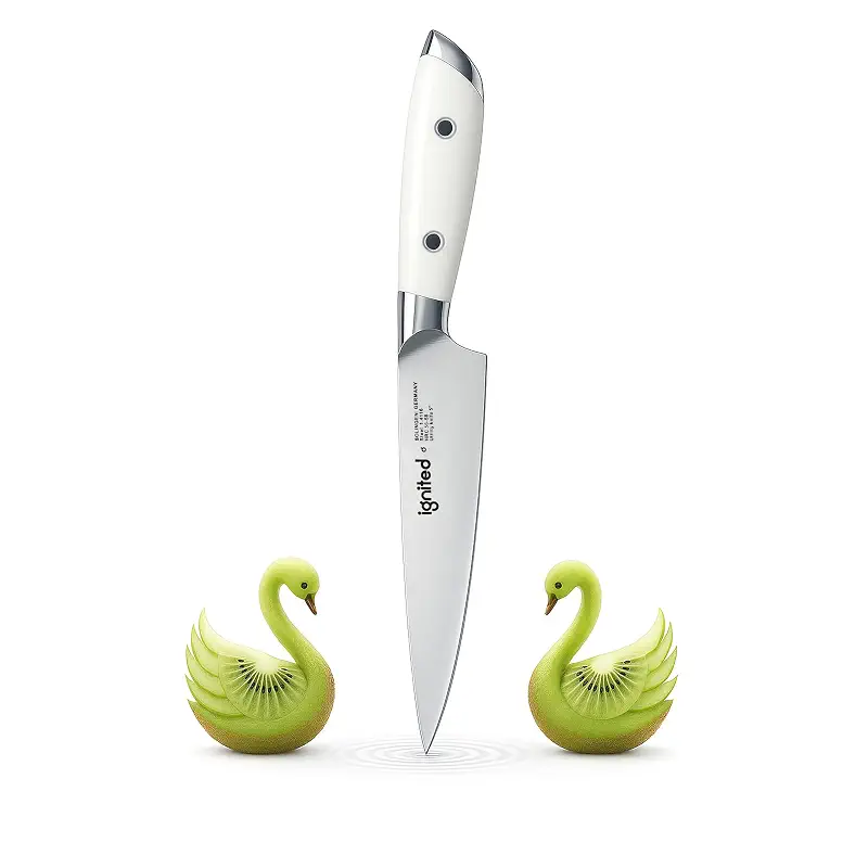 Best Knife to Cut Fruit: Top Paring Knives Tested