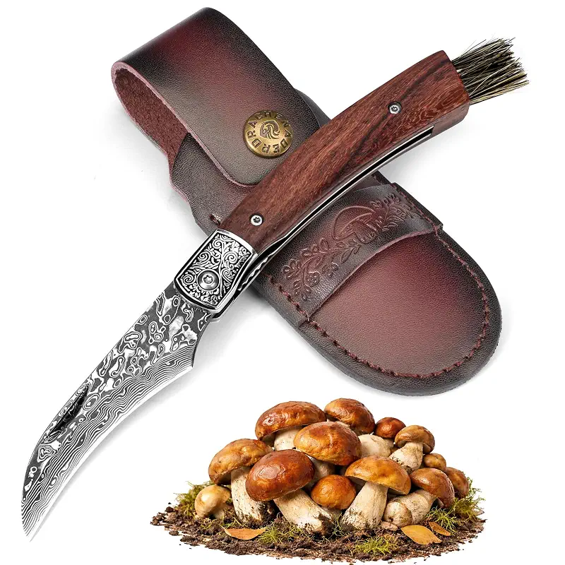 DRACHENADER Mushroom Knife with Brush, Folding Foraging Knife | with VG10 Damascus Steel Blade, Curved Blade Mushroom Harvesting Knives with Leather Sheath for Camping