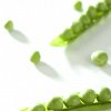 english-peas-chefs-garden